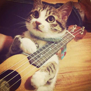 奥大利XXXXBBB com
